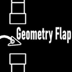 Geometry Flap